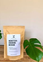 Load image into Gallery viewer, MONSTERA Soil Mix - Houseplant Growing Medium - 3 LB / 2 Gallon