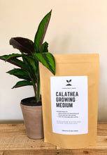 Load image into Gallery viewer, CALATHEA Soil Mix - Houseplant Growing Medium - 3 LB / 2 Gallon