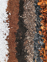 Load image into Gallery viewer, PEPEROMIA Soil Mix - Houseplant Growing Medium - 3 LB / 2 Gallon