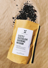Load image into Gallery viewer, CACTI/SUCCULENT Soil Mix - Houseplant Growing Medium - 3 LB / 2 Gallon