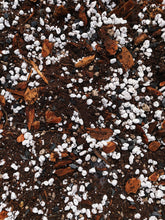 Load image into Gallery viewer, PEPEROMIA Soil Mix - Houseplant Growing Medium - 3 LB / 2 Gallon