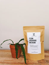 Load image into Gallery viewer, FERN Soil Mix - Houseplant Growing Medium - 3 LB / 2 Gallon