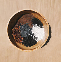 Load image into Gallery viewer, FERN Soil Mix - Houseplant Growing Medium - 3 LB / 2 Gallon