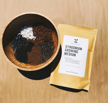 Load image into Gallery viewer, SYNGONIUM Soil Mix - Houseplant Growing Medium - 3 LB / 2 Gallon