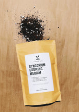 Load image into Gallery viewer, SYNGONIUM Soil Mix - Houseplant Growing Medium - 3 LB / 2 Gallon