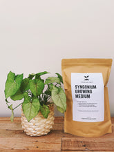 Load image into Gallery viewer, SYNGONIUM Soil Mix - Houseplant Growing Medium - 3 LB / 2 Gallon