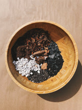 Load image into Gallery viewer, SCINDAPSUS Soil Mix - Houseplant Growing Medium - 3 LB / 2 Gallon