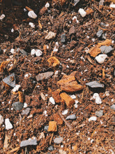 Load image into Gallery viewer, SCINDAPSUS Soil Mix - Houseplant Growing Medium - 3 LB / 2 Gallon