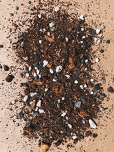Load image into Gallery viewer, SCINDAPSUS Soil Mix - Houseplant Growing Medium - 3 LB / 2 Gallon