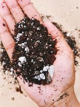Load image into Gallery viewer, Premium Tropical Soil Mix - Houseplant Growing Medium - 3 LB / 2 Gallon