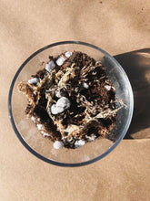 Load image into Gallery viewer, PHILODENDRON Soil Mix - Houseplant Growing Medium - 3 LB / 2 Gallon