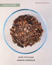 Load image into Gallery viewer, POTHOS Soil Mix - Houseplant Growing Medium - 3 LB / 2 Gallon