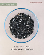 Load image into Gallery viewer, POTHOS Soil Mix - Houseplant Growing Medium - 3 LB / 2 Gallon