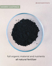 Load image into Gallery viewer, HOYA Soil Mix - Houseplant Growing Medium - 3 LB / 2 Gallon