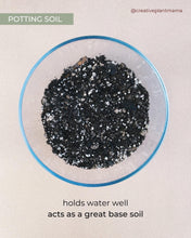 Load image into Gallery viewer, HOYA Soil Mix - Houseplant Growing Medium - 3 LB / 2 Gallon