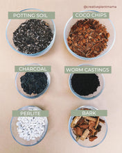 Load image into Gallery viewer, MONSTERA Soil Mix - Houseplant Growing Medium - 3 LB / 2 Gallon