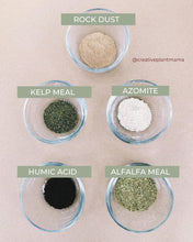 Load image into Gallery viewer, PHILODENDRON Soil Mix - Houseplant Growing Medium - 3 LB / 2 Gallon