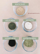 Load image into Gallery viewer, SANSEVIERIA Soil Mix - Houseplant Growing Medium - 3 LB / 2 Gallon