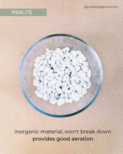 Load image into Gallery viewer, SANSEVIERIA Soil Mix - Houseplant Growing Medium - 3 LB / 2 Gallon