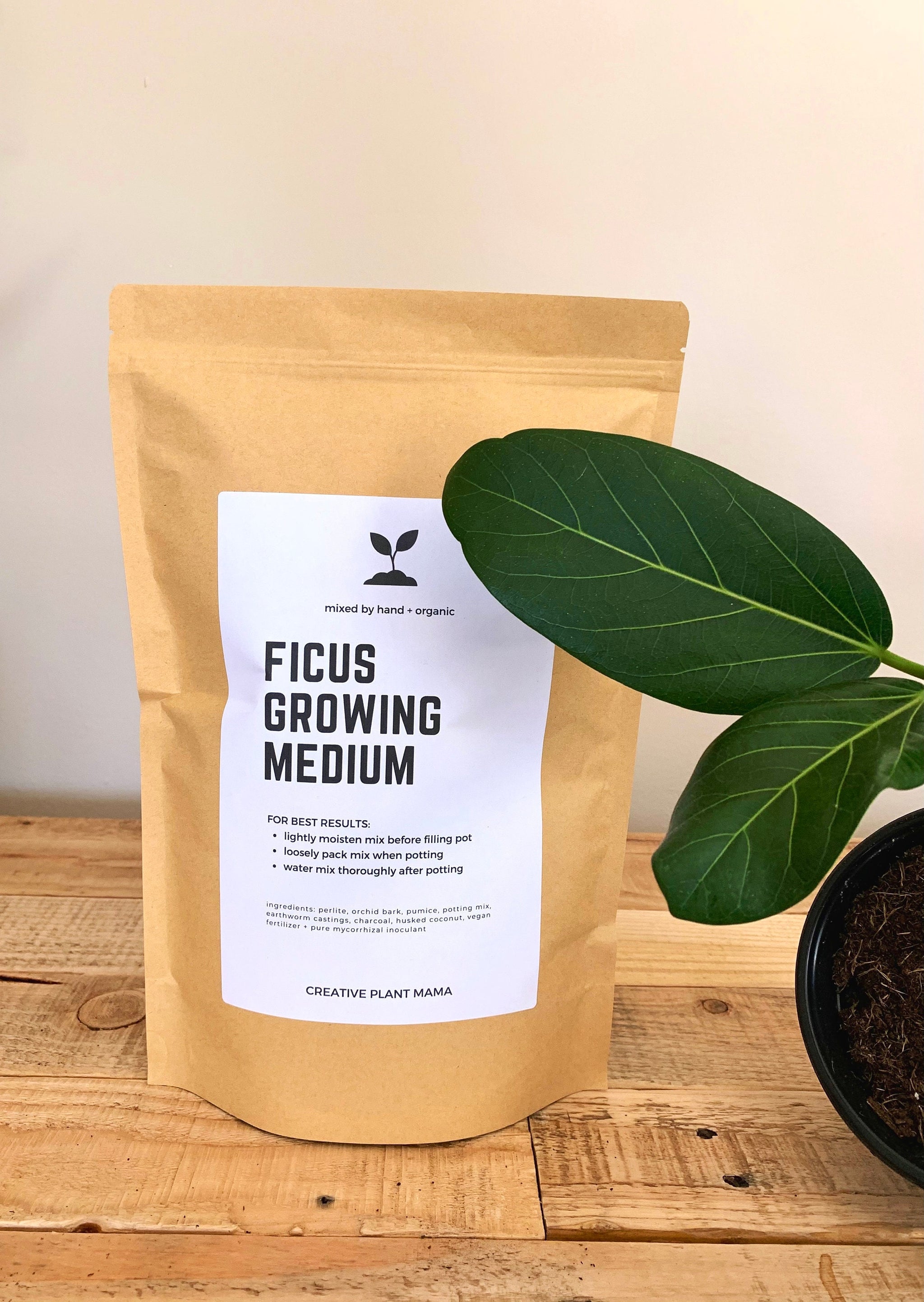 FICUS Soil Mix - Houseplant Growing Medium - 3 LB / 2 Gallon  Creative  Plant Mama