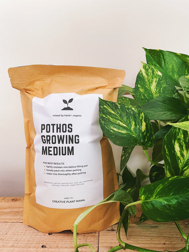 POTHOS Soil Mix - Houseplant Growing Medium - 3 LB / 2 Gallon