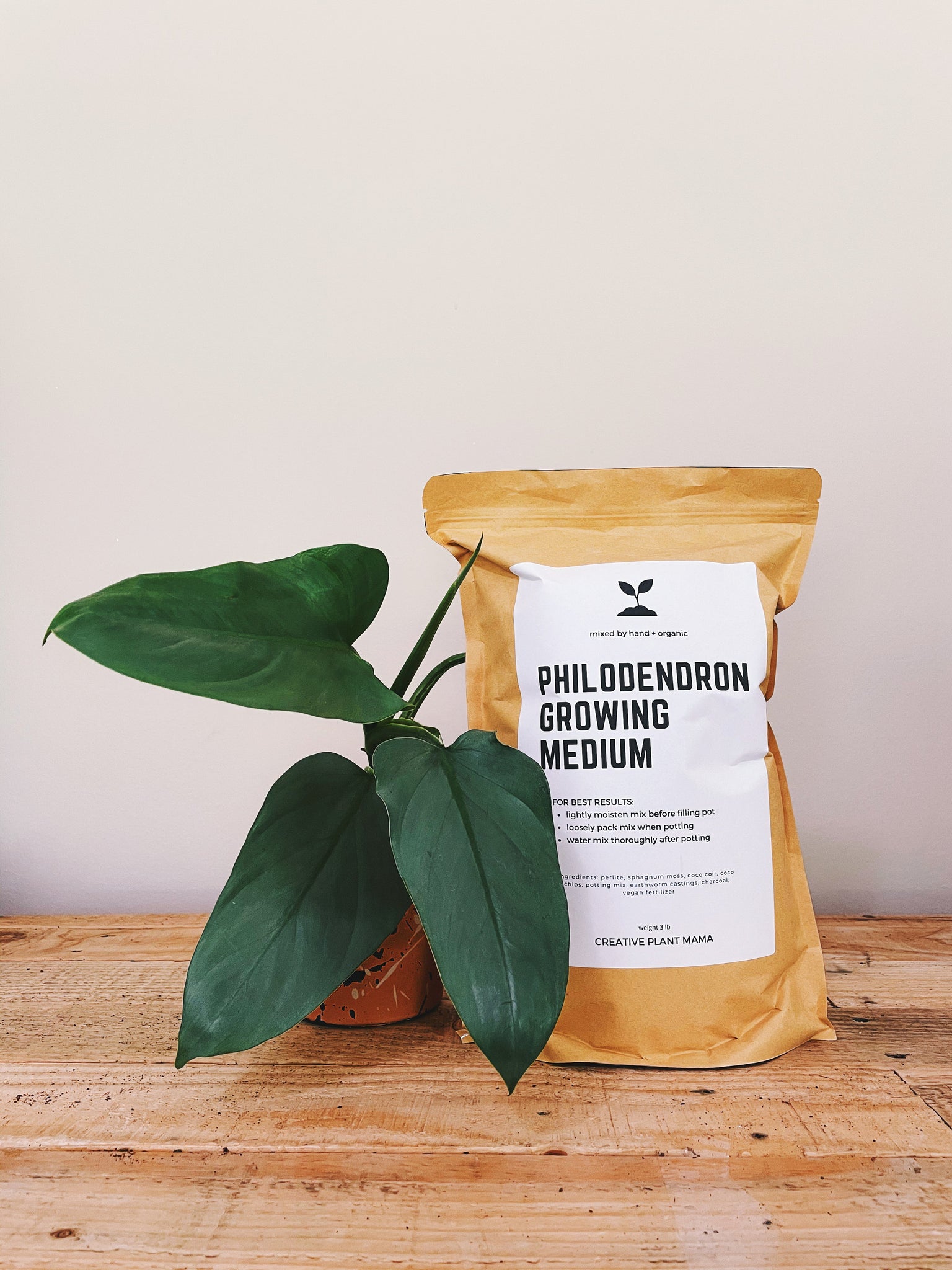 best soil for philodendron PHILODENDRON Soil Mix - Houseplant Growing Medium