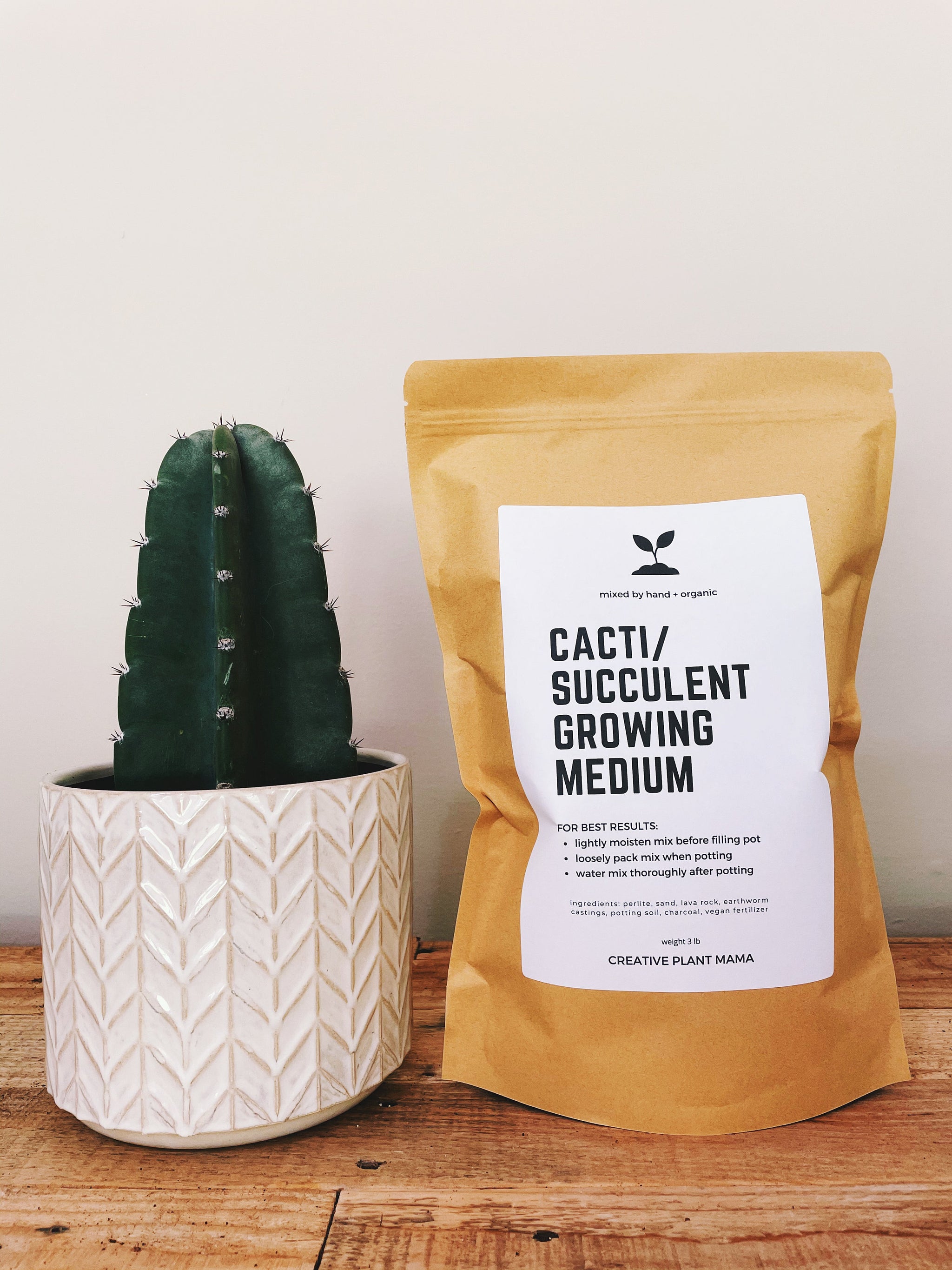 best potting soil mix for succulents CACTI/SUCCULENT Soil Mix - Houseplant Growing Medium
