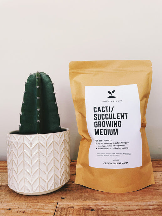 CACTI/SUCCULENT Soil Mix - Houseplant Growing Medium - 3 LB  / 2 Gallon