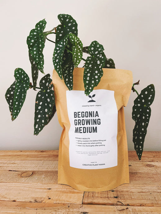 BEGONIA Soil Mix - Houseplant Growing Medium - 3 LB / 2 Gallon