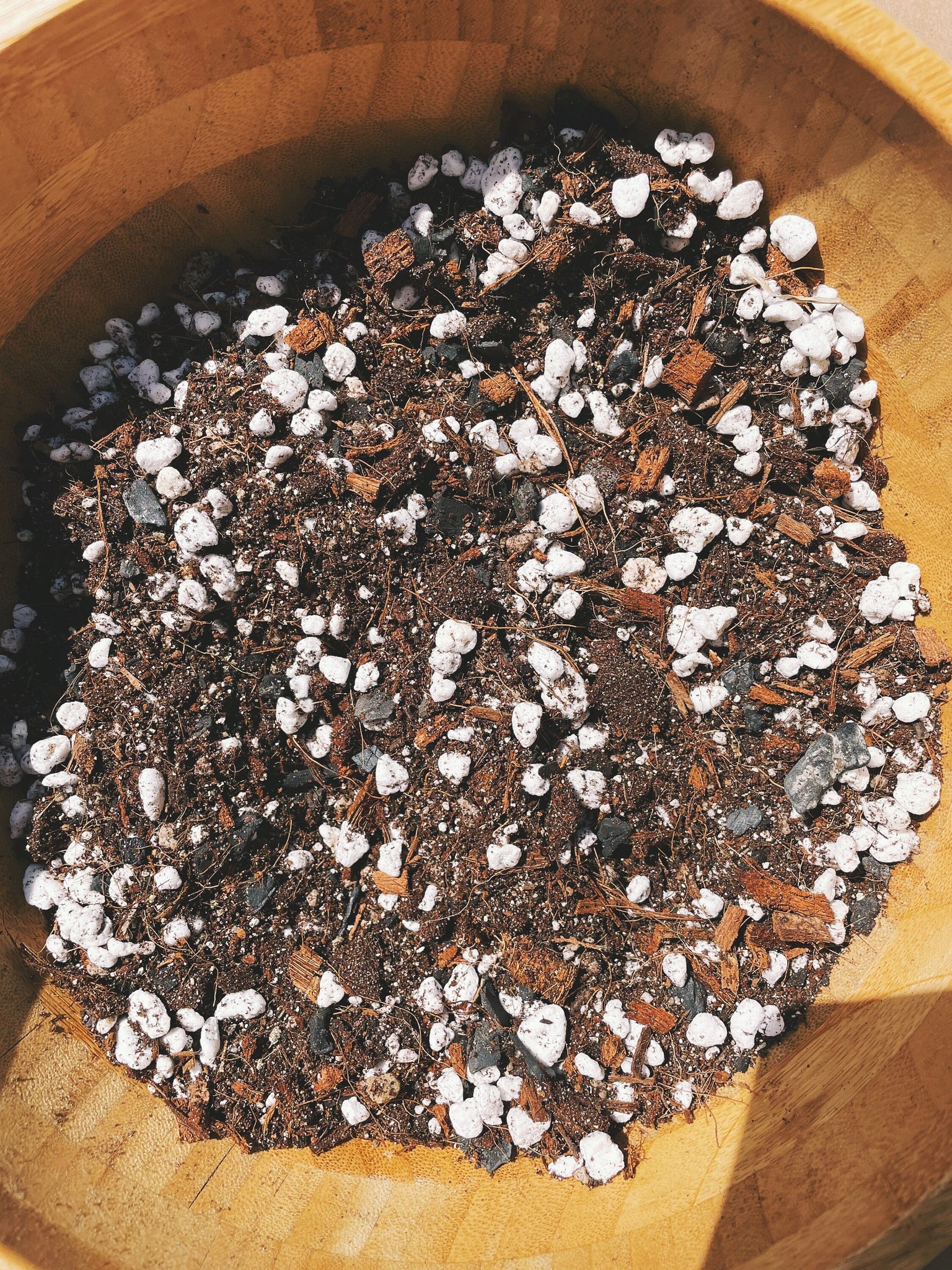 soil mix for zz plant ZZ Plant Soil Mix - Houseplant Growing Medium