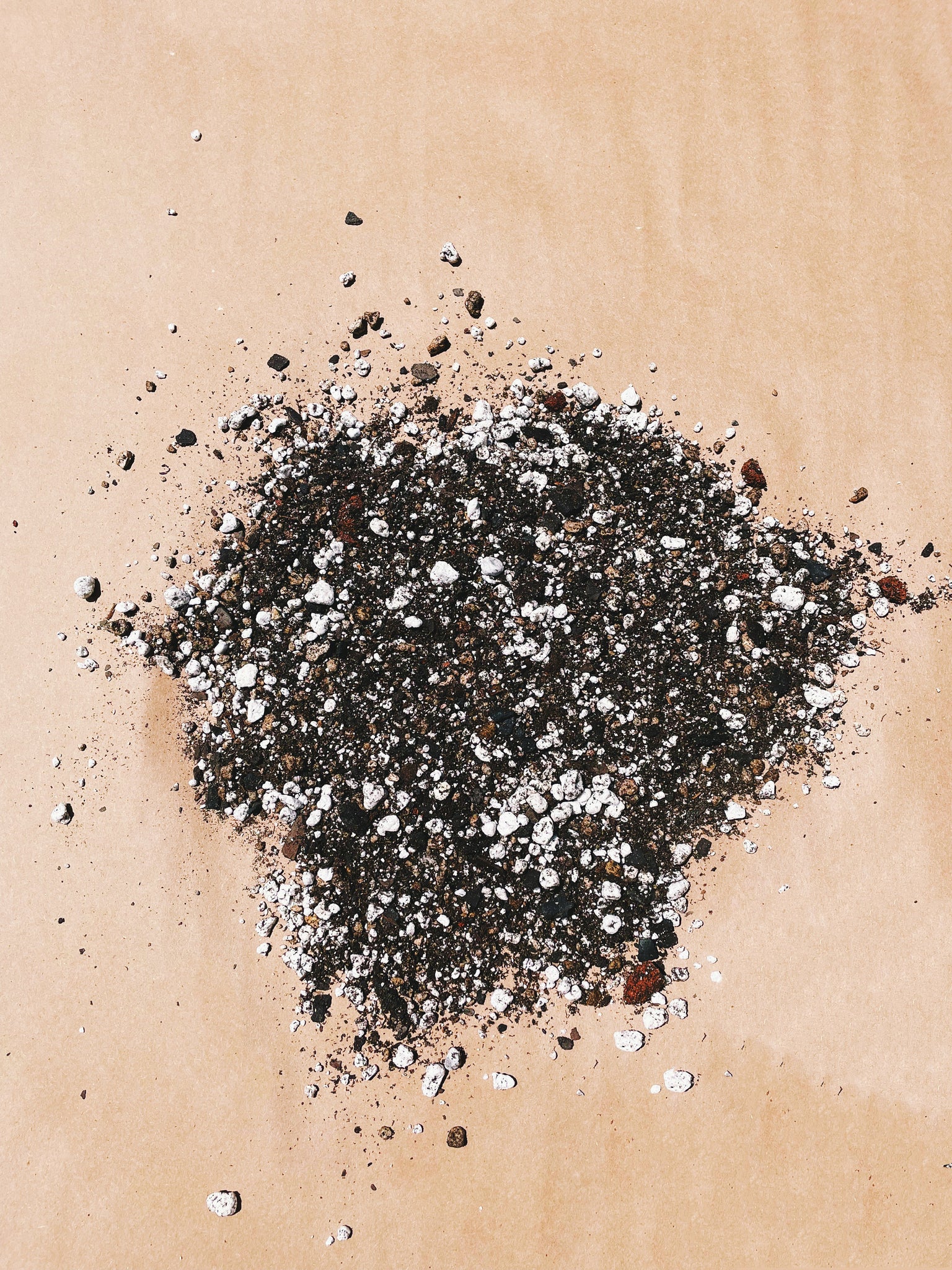 soil for palm plant PALM Soil Mix - Houseplant Growing Medium