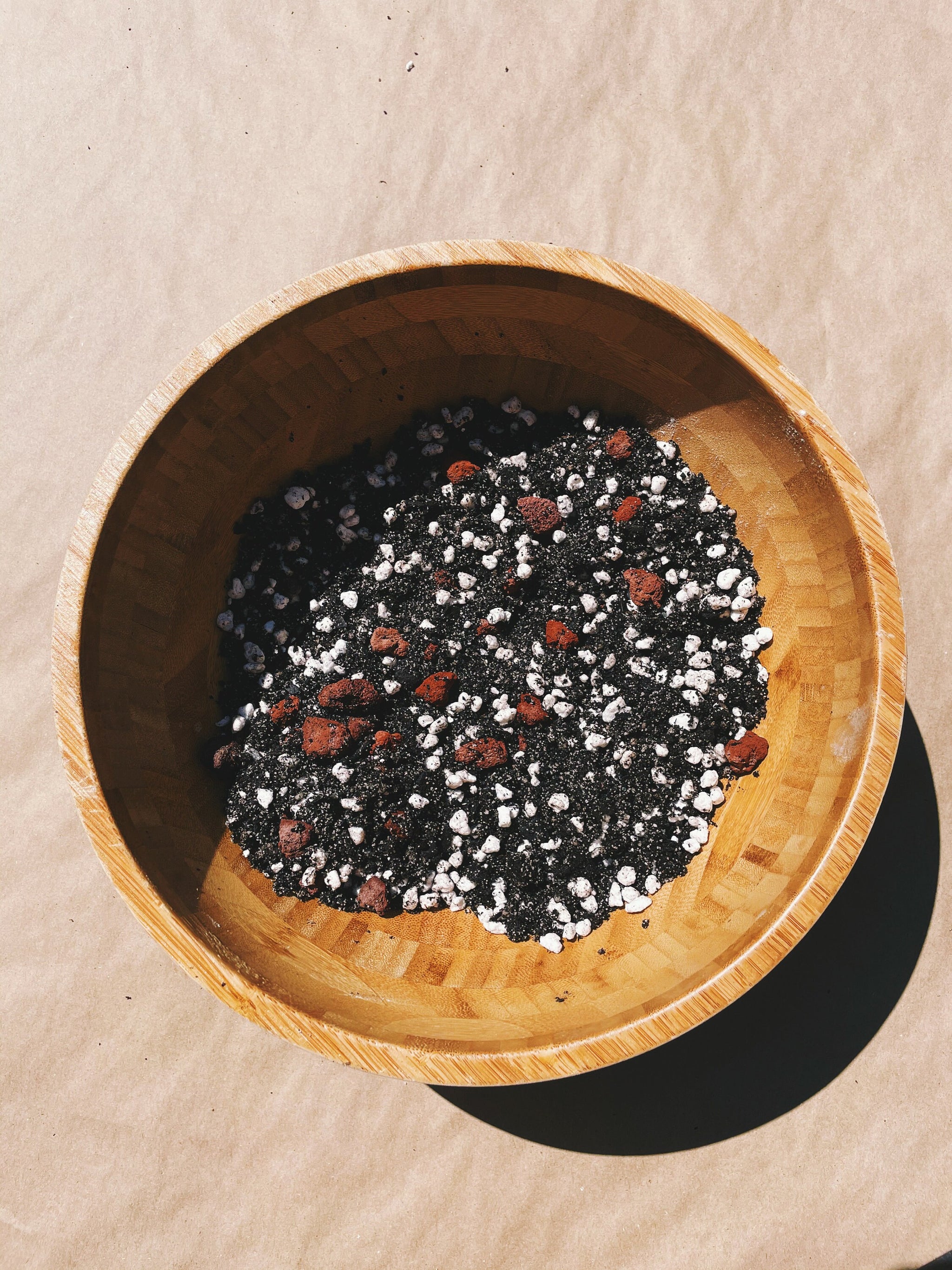 palm plant soil mix PALM Soil Mix - Houseplant Growing Medium