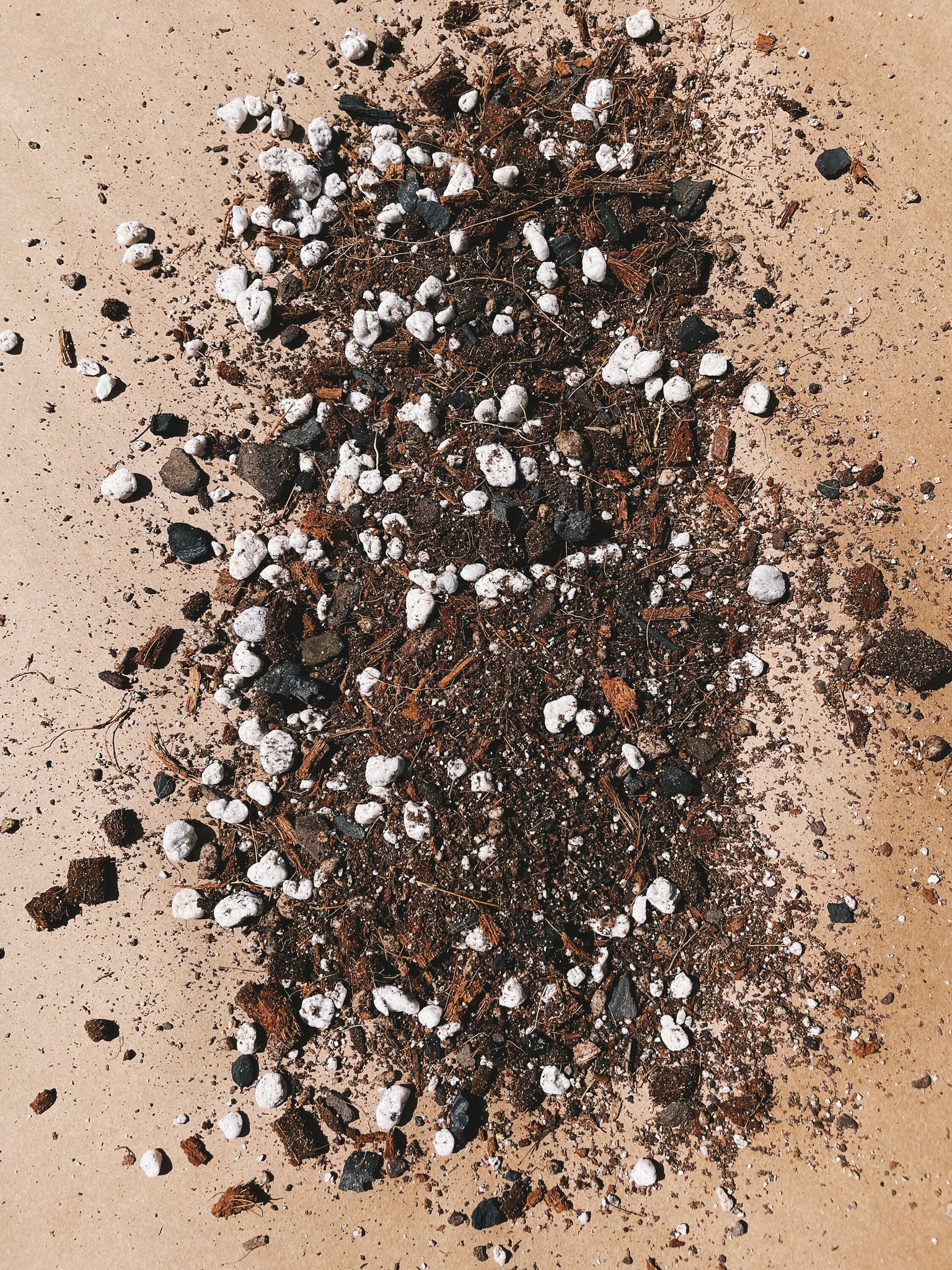 begonia potting soil mix BEGONIA Soil Mix - Houseplant Growing Medium