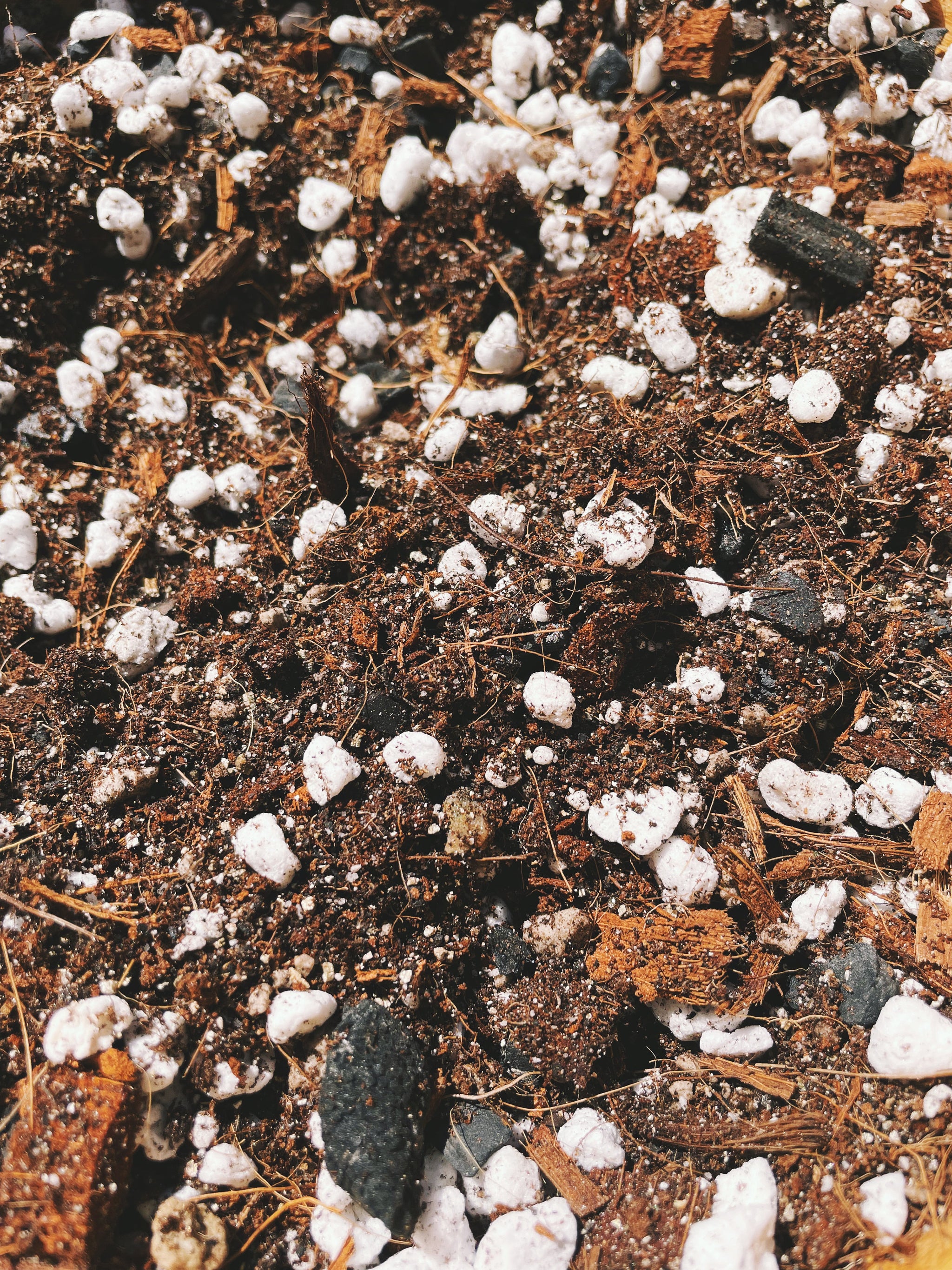ZZ Plant Soil Mix - Houseplant Growing Medium
