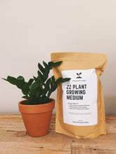 Load image into Gallery viewer, ZZ Plant Soil Mix - Houseplant Growing Medium - 3 LB / 2 Gallon

