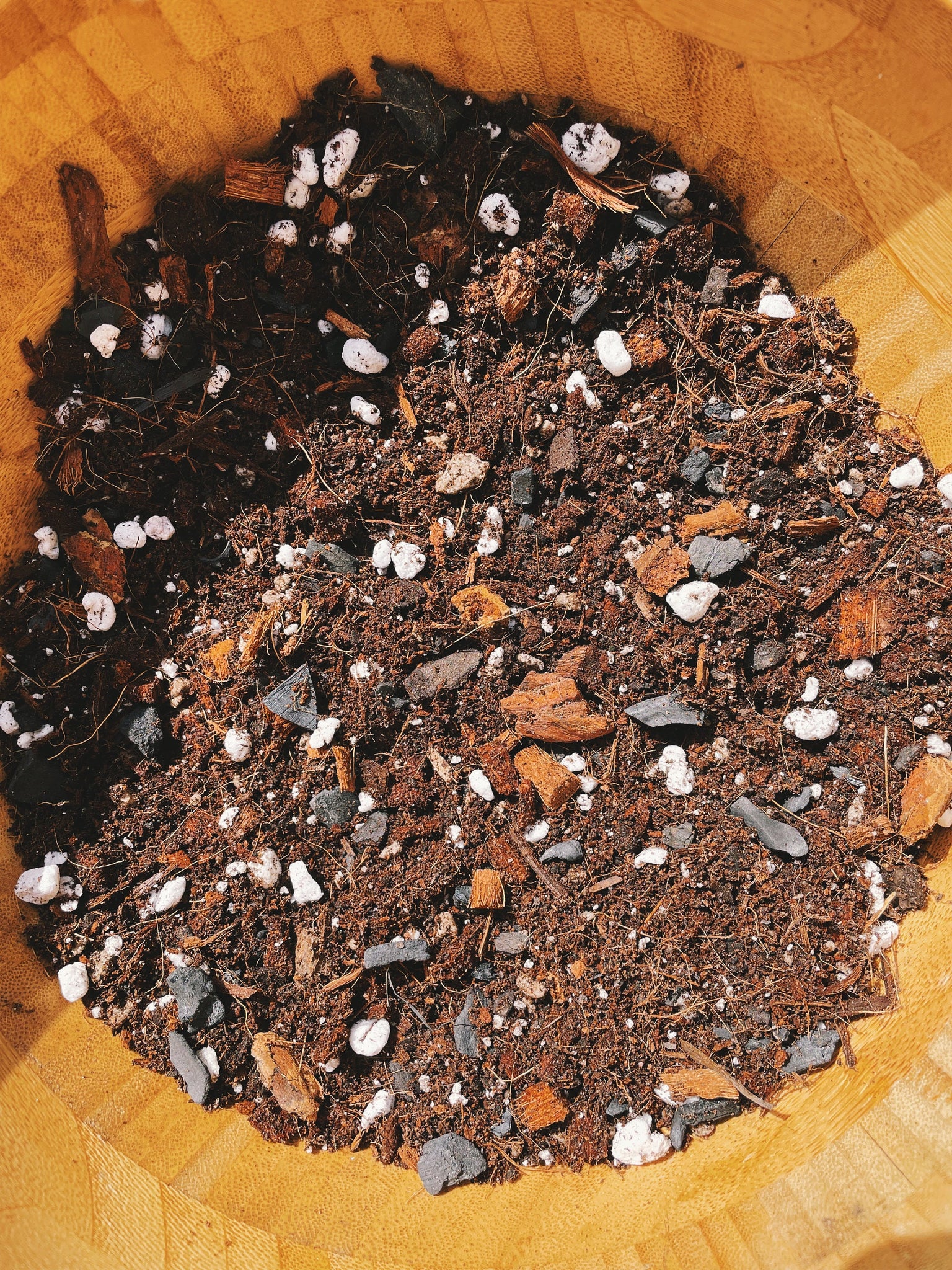 best alocasia potting mix ALOCASIA Soil Mix - Houseplant Growing Medium