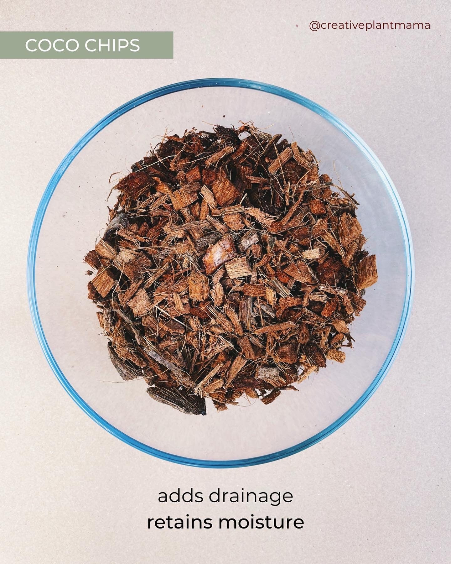 pothos soil mix POTHOS Soil Mix - Houseplant Growing Medium