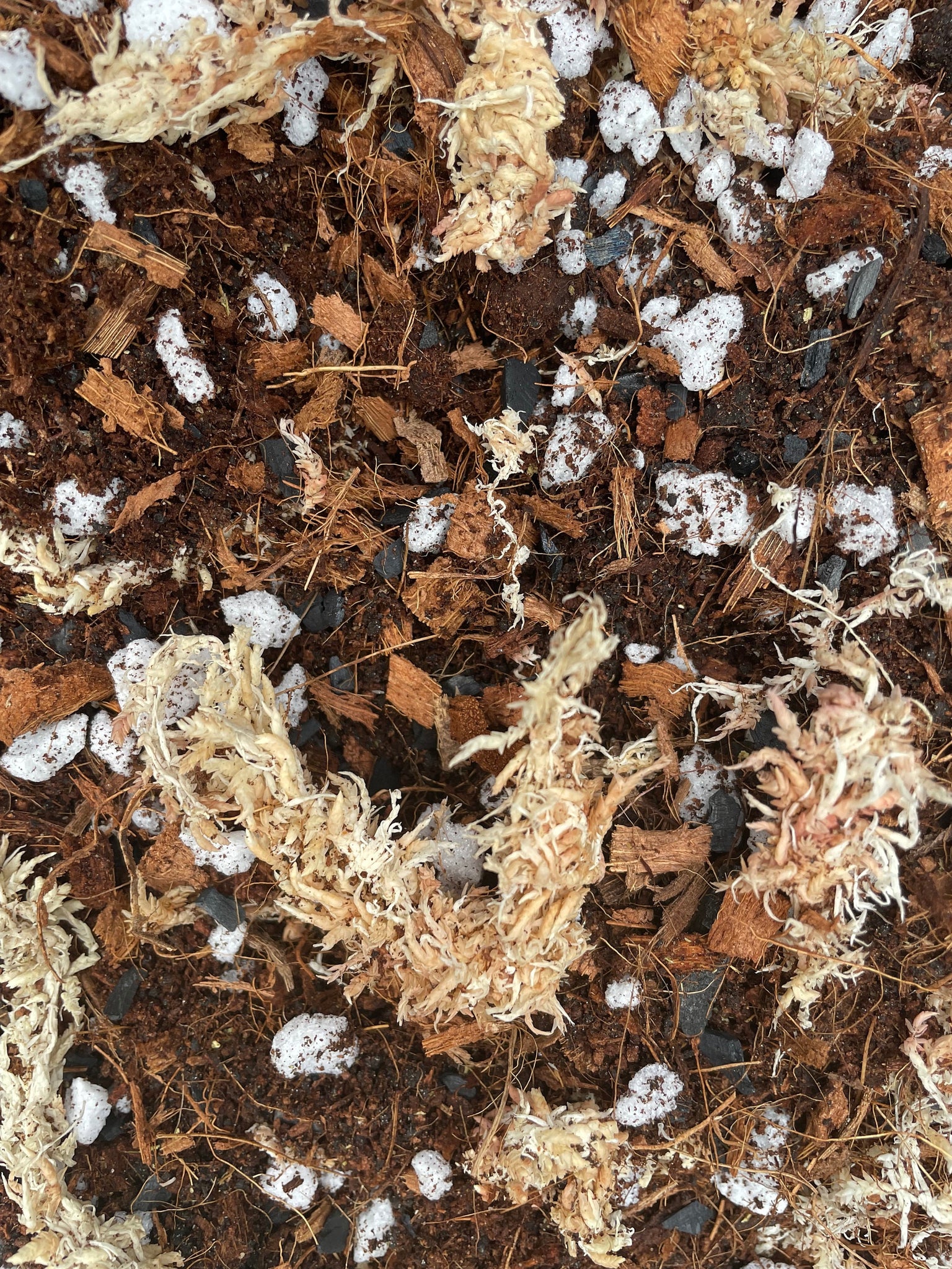 monstera pot mix MONSTERA Soil Mix - Houseplant Growing Medium