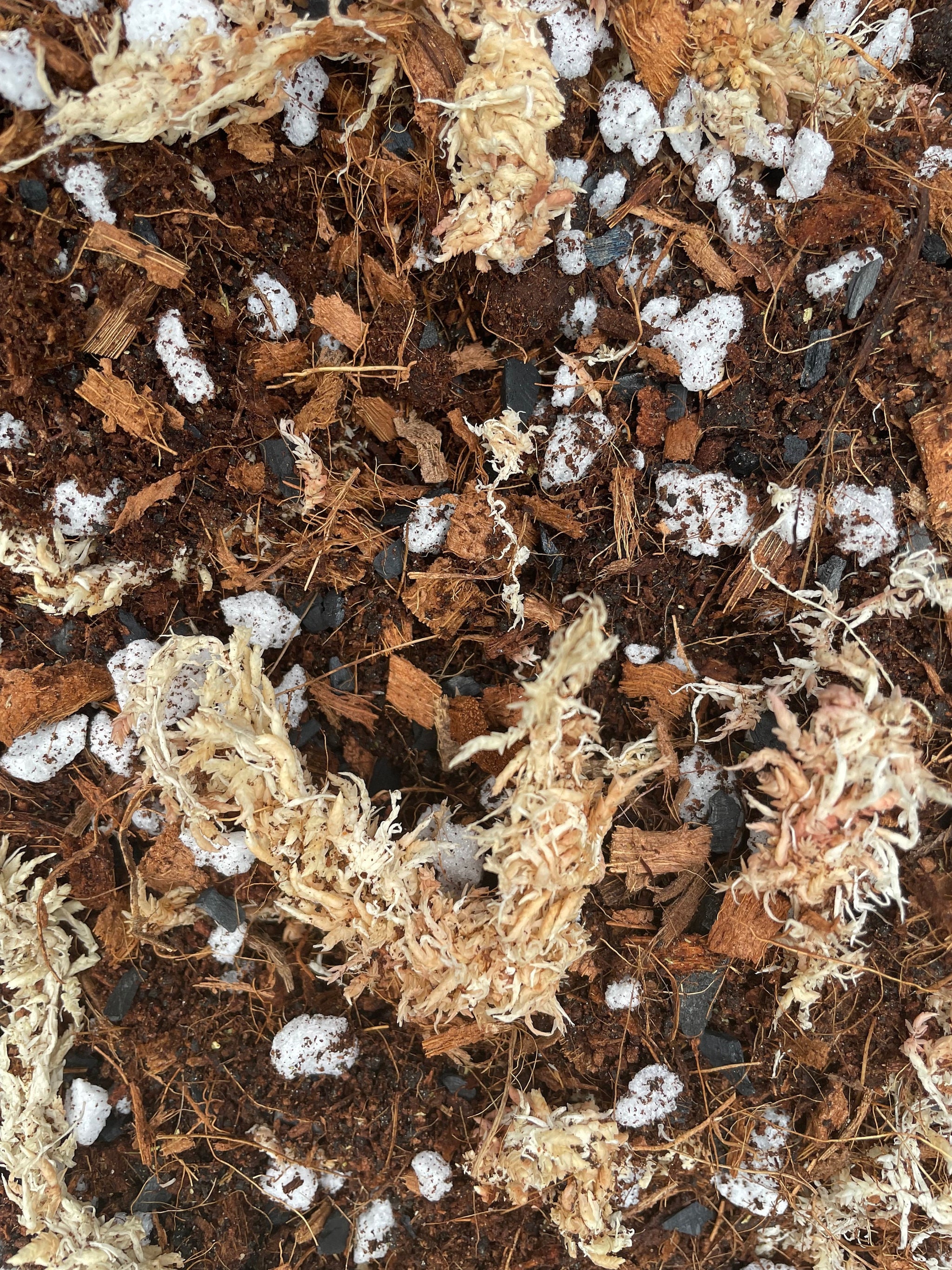 MONSTERA Soil Mix - Houseplant Growing Medium